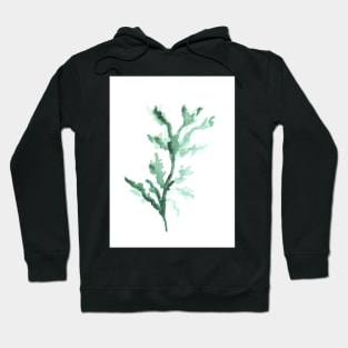 Watercolor green branch, plant, summer and nature, art decoration, sketch. Illustration hand drawn modern Hoodie